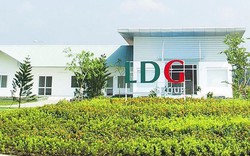 LDG Group (LDG) bị cưỡng chế hơn 7 tỷ đồng, quý IV lỗ gần 39 tỷ đồng