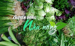 Chuyển động Nhà nông 31/1: Nhiều loại rau gia vị được EU đưa khỏi danh mục kiểm soát