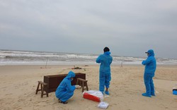 Phát hiện thi thể đang phân hủy dạt vào bờ biển Thừa Thiên Huế 