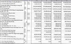 Vimedimex (VMD) lỗ 7,6 tỷ đồng trong năm 2022, tài sản "bốc hơi" 45%