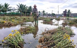 Ninh Thuận: Cấp gạo ngon cho người nghèo ăn Tết Nguyên đán Quý Mão 2023