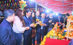 Lễ hội cam Hà Tĩnh: 100 gian hàng trưng bày, giới thiệu các sản phẩm nông nghiệp đặc sản