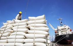 Nhiều tín hiệu tích cực cho xuất khẩu gạo năm 2023