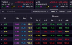 Sàn HOSE bốc hơi 1,8 triệu tỷ đồng vốn hóa trong năm 2022