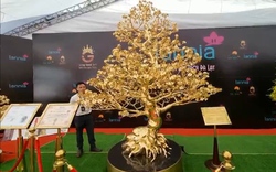 Mãn nhãn ngắm cây mai "khủng" mạ vàng giá 6 tỷ được 30 nghệ nhân chế tác trong suốt nửa năm