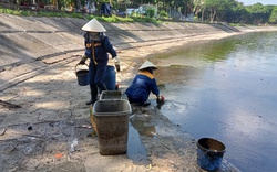 Công nhân xuyên trưa vớt dầu thải nổi đầy góc hồ Linh Đàm