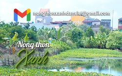 HỘP THƯ NÔNG THÔN XANH: Cơ sở sản xuất xả thải ra môi trường, cá tôm nuôi đến đâu chết đến đấy