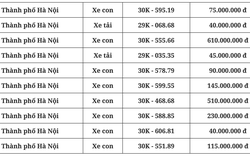 Ngỡ ngàng kết quả đấu giá biển số xe ngày 11/10: Cao nhất 610 triệu đồng, chờ 2 biển tứ 8 Hà Nội ngày mai