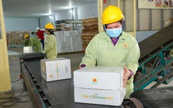 Tập đoàn Lộc Trời (LTG) chốt quyền trả cổ tức 2022 bằng cổ phiếu 25%