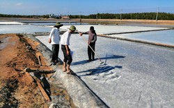 TP.HCM sửa chữa hạ tầng ở các làng nghề để bảo vệ môi trường