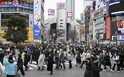 Nhiều người Nhật Bản không muốn nghỉ phép vì thấy không thoải mái