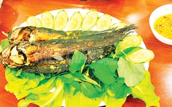 Ba loại cá ngon làm nên 3 món đặc sản vùng U Minh Thượng ở Kiên Giang, đó là 3 loại cá gì?
