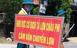 Bùng phát dịch tả lợn châu Phi, nhiều nơi diễn biến phức tạp