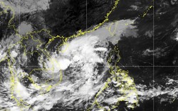 Vùng áp thấp trên Biển Đông sẽ mạnh lên thành áp thấp nhiệt đới trong ngày mai 17/10