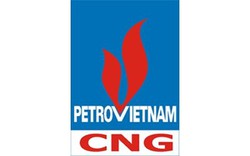 CNG Việt Nam (CNG): Chi phí hoạt động giảm, lãi quý III/2023 tăng 52% so với cùng kỳ