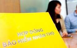 Công ty bảo hiểm nhân thọ dồn dập thay tổng giám đốc