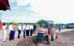 Hà Nội: Tận dụng đất nông nghiệp ven sông phát triển trang trại rau an toàn phục vụ suất ăn bán trú trường học