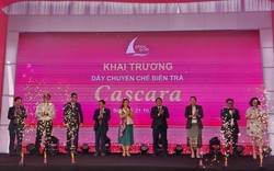 Phúc Sinh Sơn La khai trương dây chuyền chế biến trà từ vỏ cà phê quy mô lớn nhất tại Việt Nam