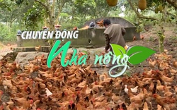 Chuyển động Nhà nông 23/10: Nghệ An chủ động đi tắt đón đầu để kiểm soát tốt dịch cúm gia cầm