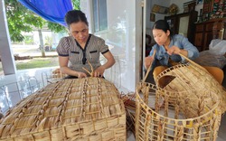 Từ một loài cây dại phá không xuể, chị giám đốc HTX ở Cần Thơ biến thành tiền, tạo việc làm cho vô số người