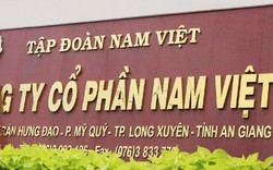 Nam Việt (ANV): Thoát lỗ quý III/2023, lợi nhuận 9 tháng "bốc hơi" 90%