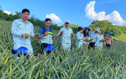 “A còng”, một thương hiệu dân dã, nhắc đến ai cũng nhận ra ngay là sản phẩm của Khuyến nông Việt Nam