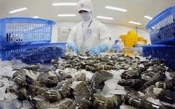 Chủ tịch Sao Ta Hồ Quốc Lực: Tình hình ngành tôm sẽ còn khó khăn