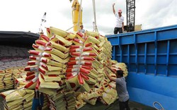 Giá gạo Ấn Độ giảm tuần thứ 4 liên tiếp, gạo Việt vẫn không giảm