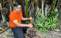 Những nông dân trẻ đi đầu xu thế kinh doanh mới, định vị nông nghiệp đô thị cho Cần Giờ