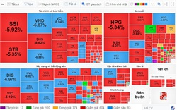 Hàng loạt cổ phiếu bất động sản, tài chính - chứng khoán nằm sàn, VN-Index mất gần hơn 37 điểm