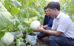 Video: Chương trình Tự hào Nông dân Việt Nam 2023 tôn vinh 163 nông dân xuất sắc, HTX tiêu biểu