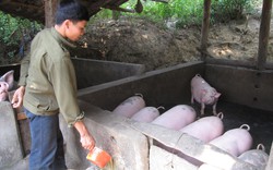 Lào Cai: Tìm giải pháo tháo gỡ khó khăn vướng mắc về tiến độ thực hiện 3 chương trình MTQG tại Bảo Yên