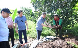 Chuyện về chàng trai Pa Kô ở Thừa Thiên- Huế làm nông nghiệp tuần hoàn, thu lãi 120 triệu đồng