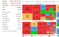 Lình xình phiên sáng, VN-Index lại bị "đánh úp" phiên chiều