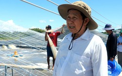 Trồng lúa giỏi, nuôi cả cá, tôm, một người ở Bà Rịa-Vũng Tàu là Nông dân Việt Nam xuất sắc 2023