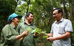 Phụ nữ làm việc trong ngành lâm nghiệp ít có khả năng tiếp cận cơ hội đào tạo về chuyên môn, kỹ thuật