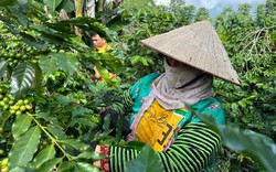 Điện Biên: Đôn đốc tiến độ chương trình xây dựng nông thôn mới