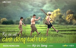 Ký ức về cánh đồng tuổi thơ