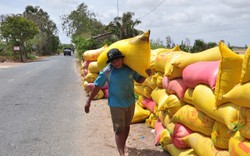 Các nước đổ xô tìm mua, có nước tăng mua 312 lần, Việt Nam dự thu 5 tỷ USD nhờ bán một loại lương thực