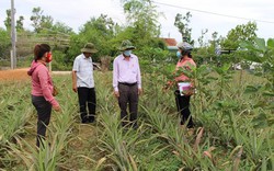 Kinh tế “mở đường” nâng tầm nông thôn mới ở Quảng Ngãi