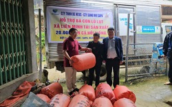 Hỗ trợ 10.000 con cá giống nước lạnh cho bà con vùng lũ quét ở Sa Pa của Lào Cai