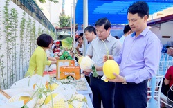 Một câu lạc bộ ở Ninh Bình tổ chức ngày hội nông sản an toàn, kỷ niệm 93 năm thành lập Hội NDVN