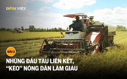 Những đầu tàu liên kết, 'kéo' nông dân làm giàu: Mặt ruộng không dấu chân và ước mơ bán tín chỉ carbon (bài 2) 