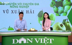 GÓC CHUYÊN GIA: Bệnh suơng mai - mối đe doạ năng suất cây nho sữa 