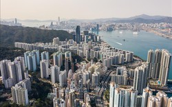 Cơ hội từ chính sách 'giữ chân người tài' ở Hong Kong