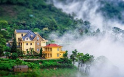 Cách Hà Nội 80km là dãy núi nổi tiếng ở Vĩnh Phúc, 3 ngọn núi cao nhất quanh năm mây vờn