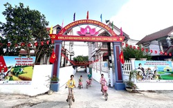 Một khu dân cư ở Phú Thọ đón nhận quyết định công nhận đạt chuẩn nông thôn mới kiểu mẫu