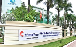 Thủy sản Minh Phú tiếp tục lỗ trong quý III/2023, muốn lấn sân sang lĩnh vực bất động sản