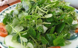 “Thần dược” giúp hỗ trợ điều trị nhiều loại bệnh, hóa ra là loại rau mọc dại này ở Việt Nam
