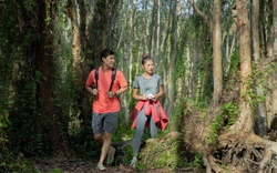 Khu rừng này ở Bà Rịa-Vũng Tàu, cách Sài Gòn 150km đẹp huyền bí kiểu gì mà nhiều người vô xem?